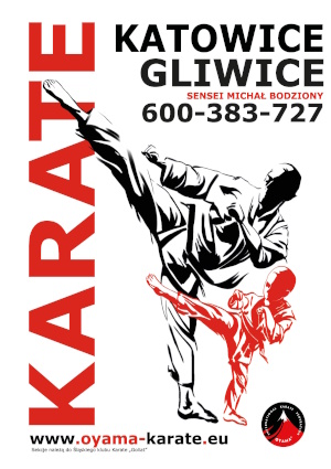 Treningi_Oyama__Karate_Katowice_Gliwice_na_stron__.jpg