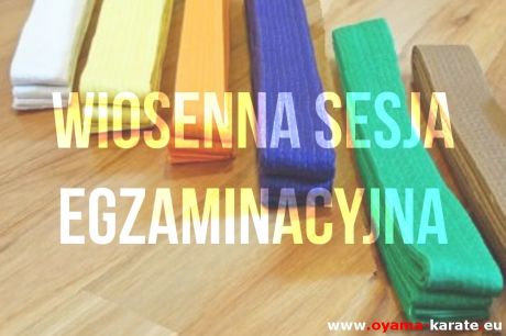 Wiosenna Sesja Egzaminacyjna