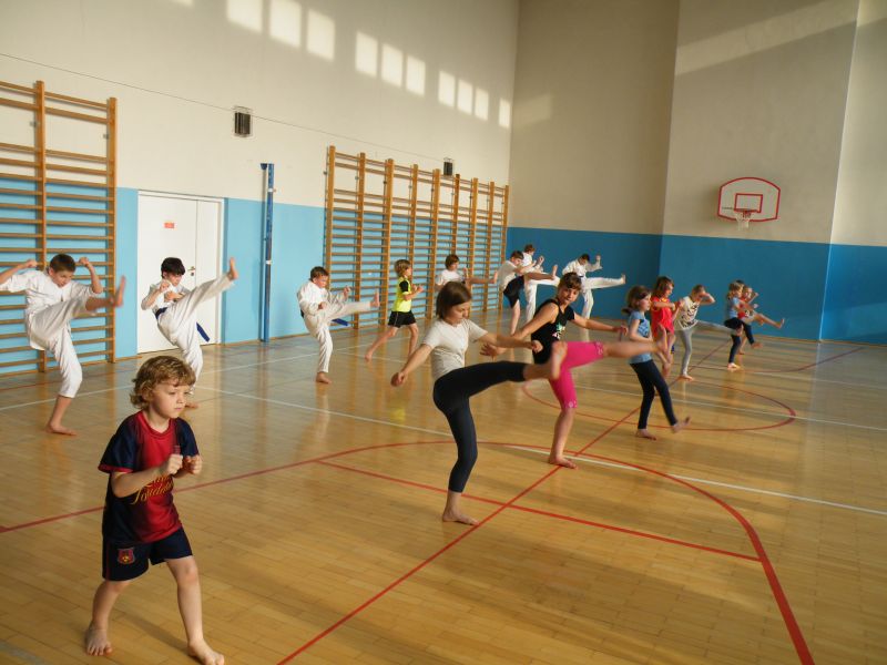 Kopnięcia Karate Katowice