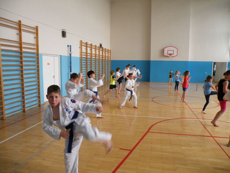 Karate dla Młodych Katowice