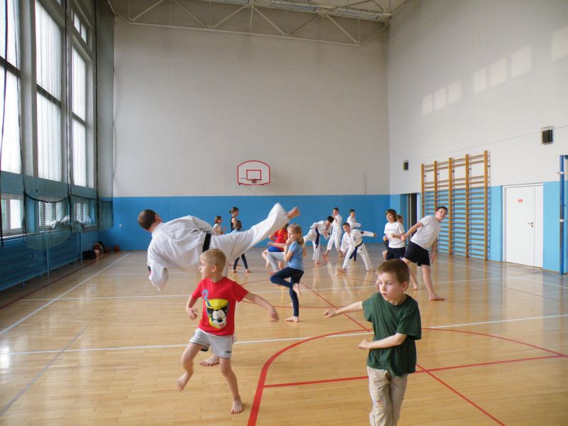 Nauka Karate Katowice