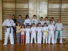 miniatura Karate dla dzieci Katowice
