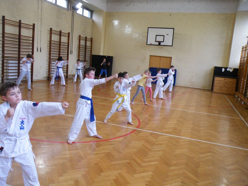 Ćwiczenie Karate Katowice
