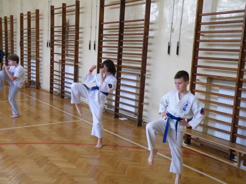 Trening Karate dla dzieci