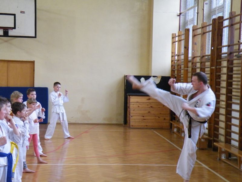 Mawashi Geri Katowice