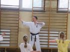 miniatura Nauczanie Karate Katowice