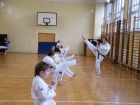 miniatura Trening Karate Katowice