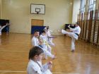 miniatura Trening Karate Katowice