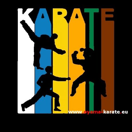 Karate Katowice Karate Gliwice
