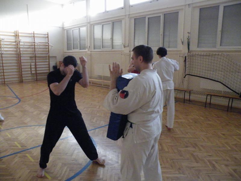 Karate Kondycja Gliwice
