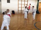 miniatura Karate