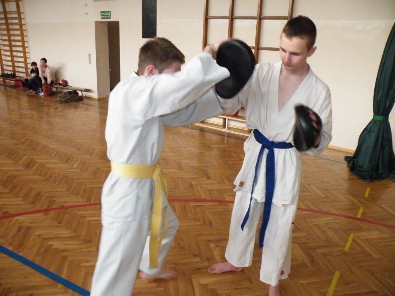 Karate Dla Nastolatków Gliwice