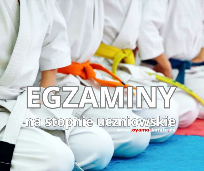 Egzaminy Karate Katowice i Gliwice