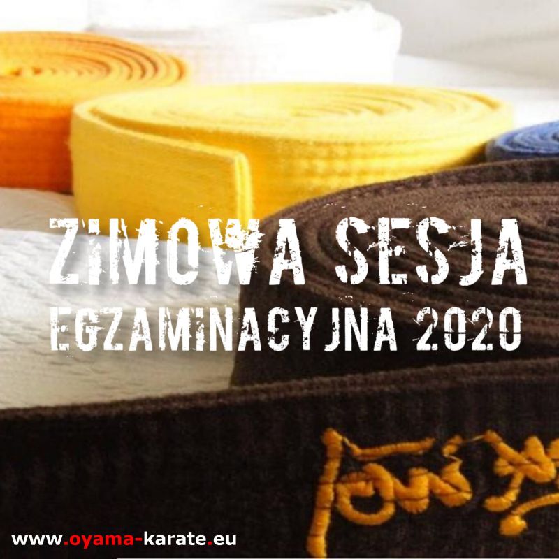 Karate Katowice i Gliwice Egzaminy zima 2020